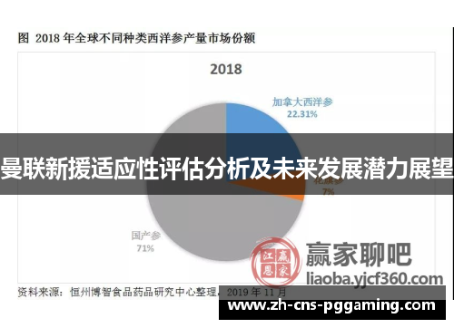 曼联新援适应性评估分析及未来发展潜力展望