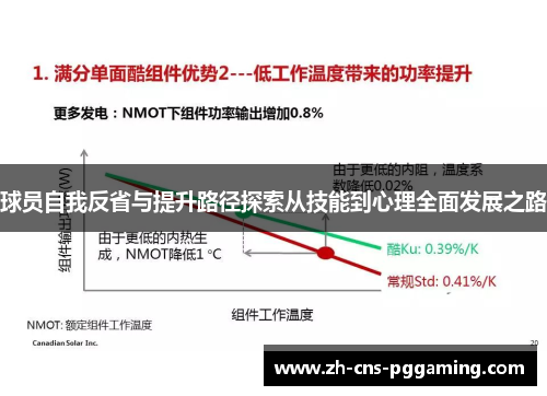 球员自我反省与提升路径探索从技能到心理全面发展之路