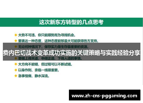 费内巴切战术变革成功实施的关键策略与实践经验分享