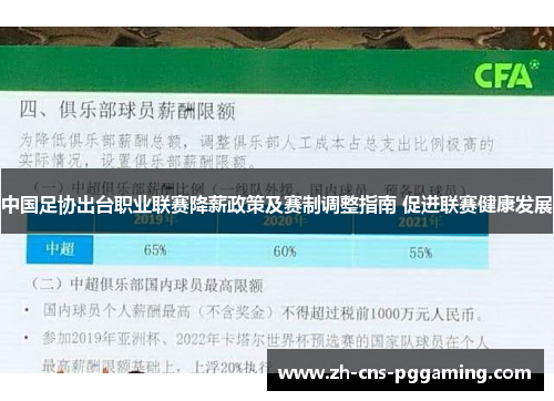 中国足协出台职业联赛降薪政策及赛制调整指南 促进联赛健康发展