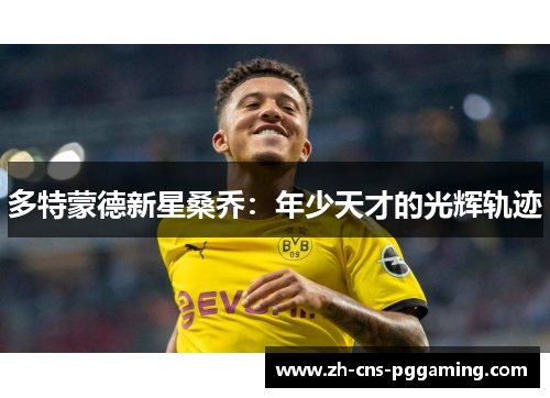 多特蒙德新星桑乔：年少天才的光辉轨迹