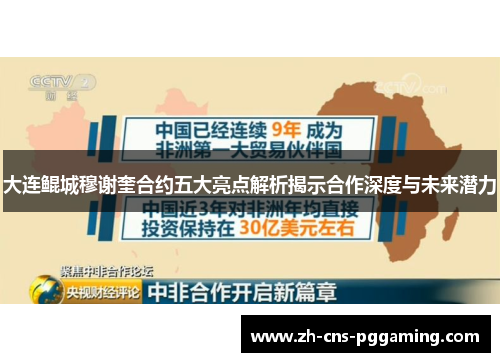 大连鲲城穆谢奎合约五大亮点解析揭示合作深度与未来潜力