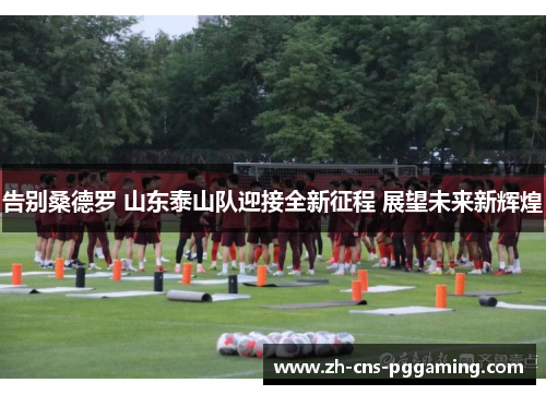告别桑德罗 山东泰山队迎接全新征程 展望未来新辉煌