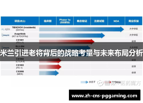 米兰引进老将背后的战略考量与未来布局分析