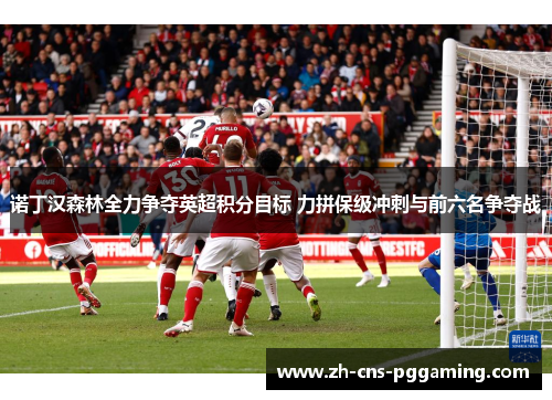诺丁汉森林全力争夺英超积分目标 力拼保级冲刺与前六名争夺战