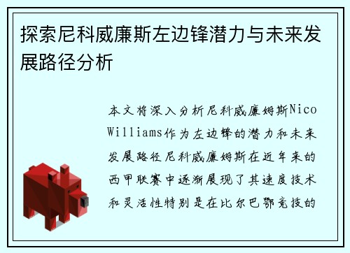 探索尼科威廉斯左边锋潜力与未来发展路径分析